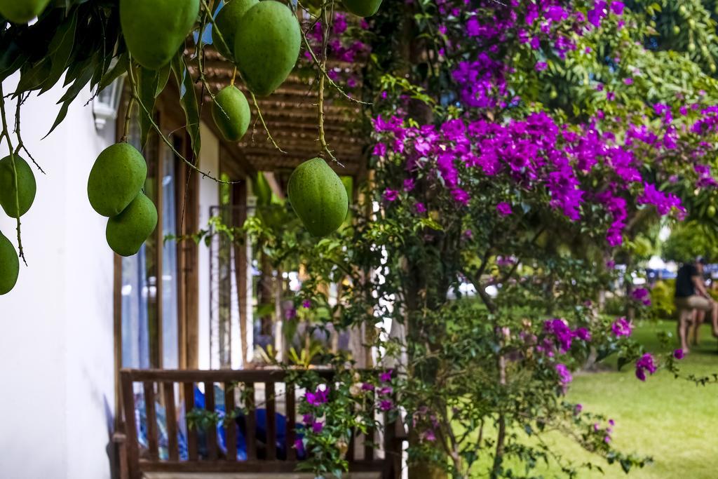 La Em Casa - Guest House Barra Grande  Bagian luar foto